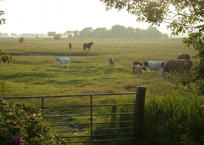 Margarethenhof Apartamento *